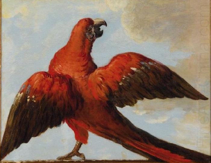 Parrot with Open Wings, Jean Baptiste Oudry